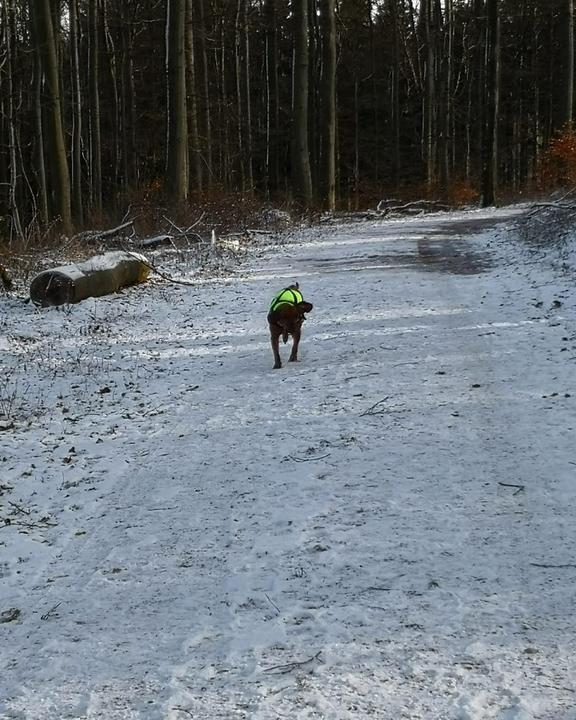 Waldgaststätte Hohes Gras