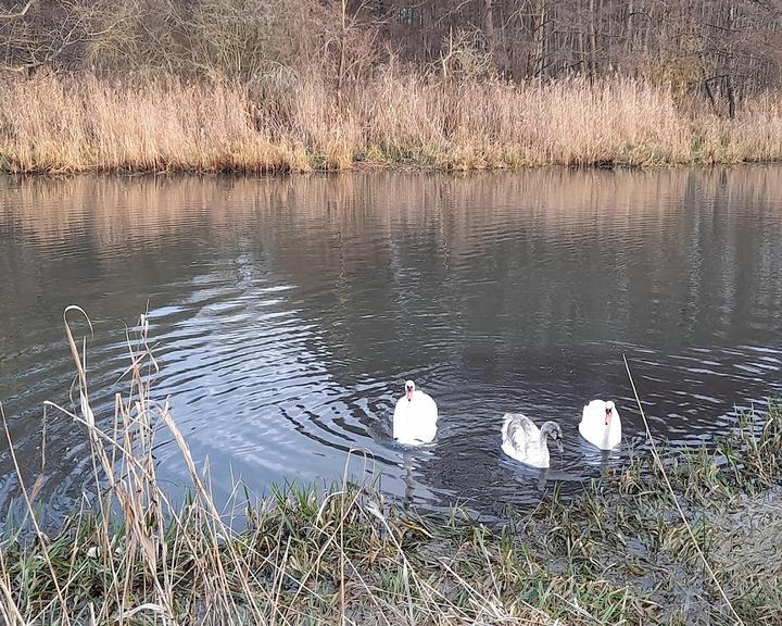 Marina Park Eberswalde